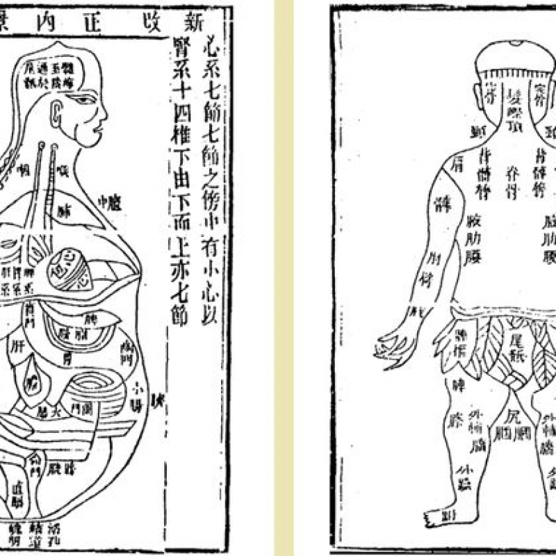 书法的本体感觉，或文字骨血的孕育生成